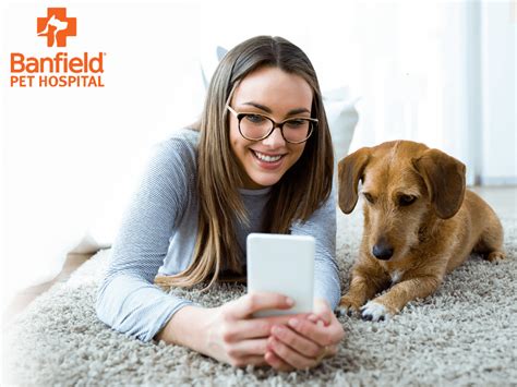 banfield pet hospital reviews|is banfield a scam.